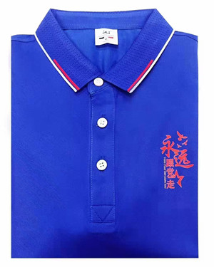 案例展示